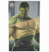 The Incredible Hulk Marvel Avengers Super Hero Action Figure - Toys Heaven